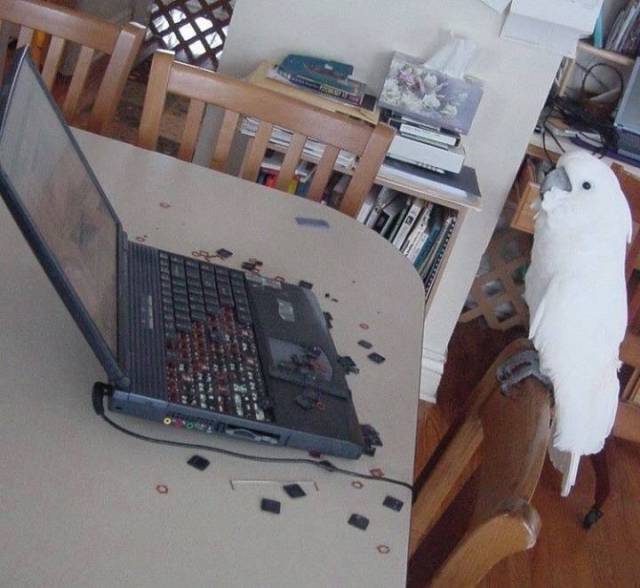 daily picdump 95 pics 34.html - 95 HD Photos | Premium Gallery 2017