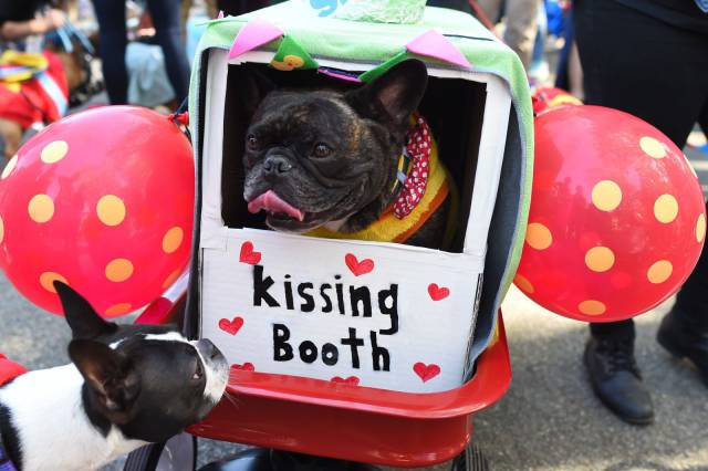 daily picdump 95 pics 34.html - 95 HD Photos | Premium Gallery 2017