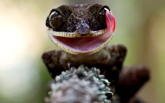 daily picdump 95 pics 34.html - 95 HD Photos | Premium Gallery 2017