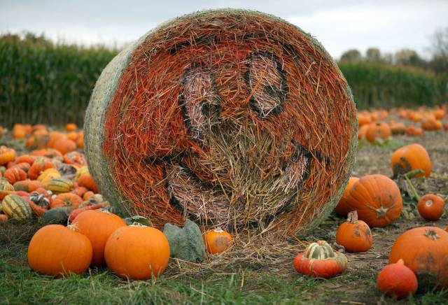 daily picdump 95 pics 34.html - 95 HD Photos | Premium Gallery 2017