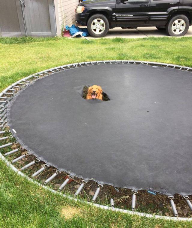 daily picdump 95 pics 34.html - 95 HD Photos | Premium Gallery 2017