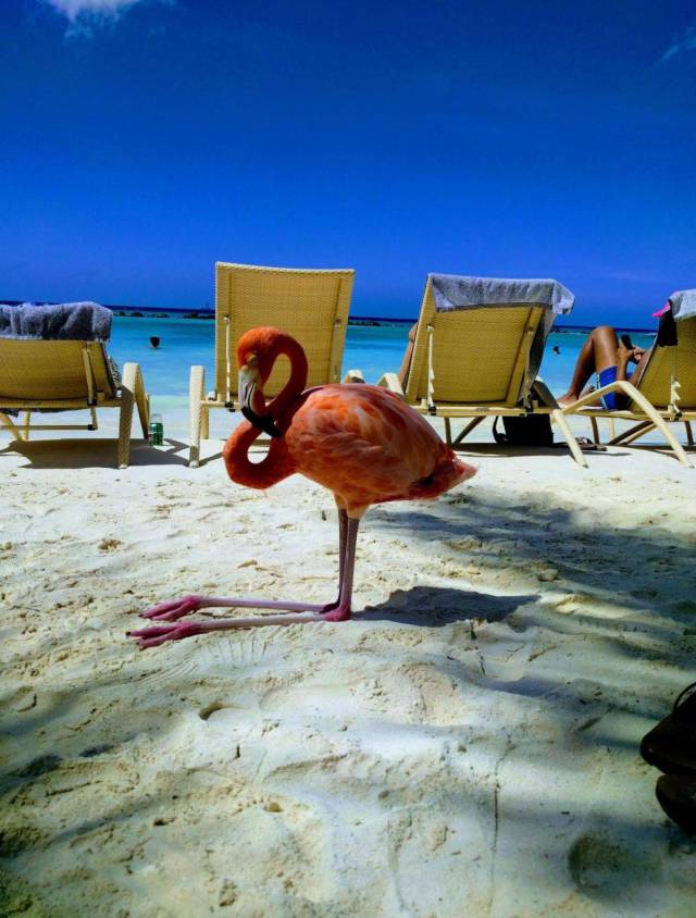 daily picdump 95 pics 34.html - 95 HD Photos | Premium Gallery 2017