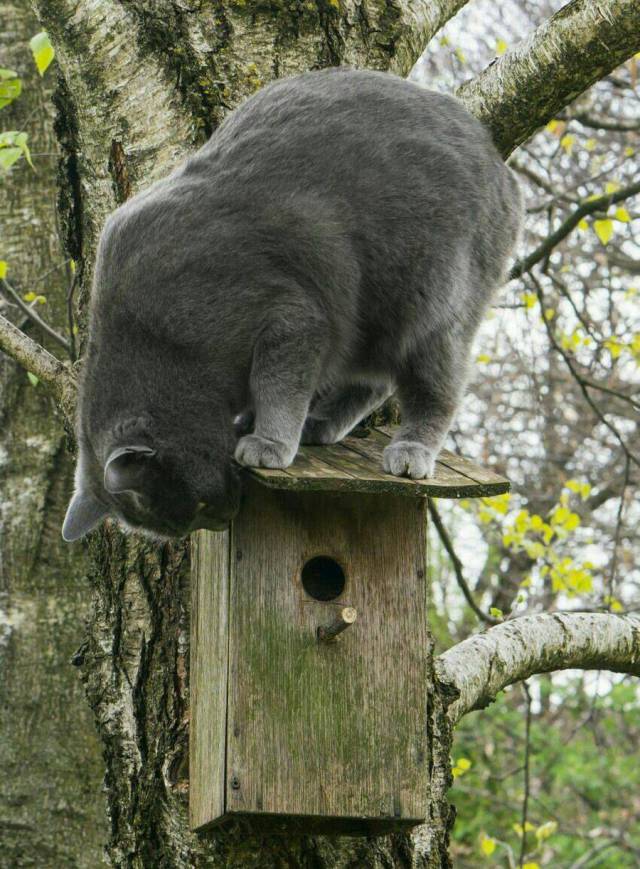 daily picdump 95 pics 34.html - 95 HD Photos | Premium Gallery 2017