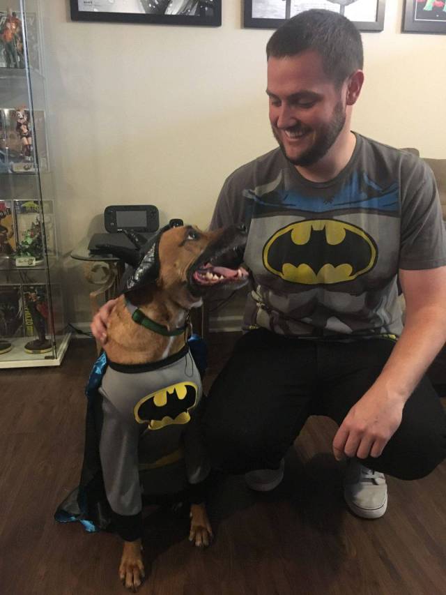 daily picdump 95 pics 34.html - 95 HD Photos | Premium Gallery 2017