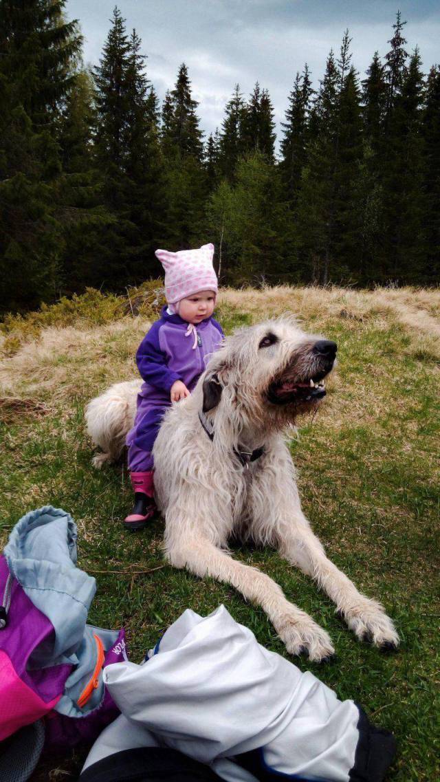 daily picdump 95 pics 34.html - 95 HD Photos | Premium Gallery 2017