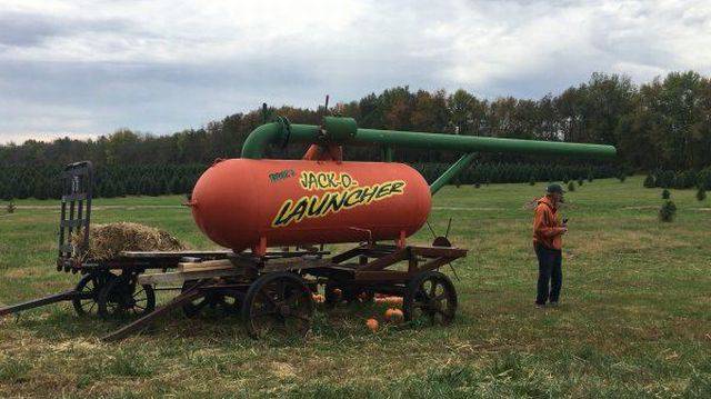 daily picdump 102 pics 2.html - 102 HD Photos | Premium Gallery 2017