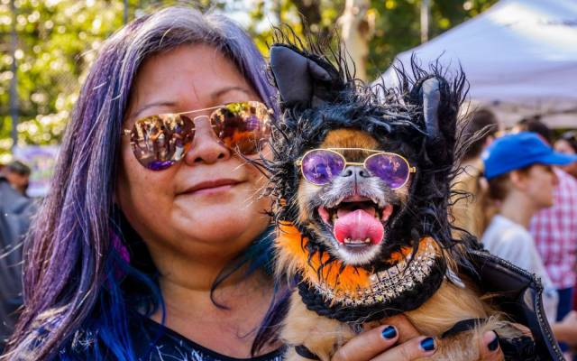 daily picdump 102 pics 2.html - 102 HD Photos | Premium Gallery 2017