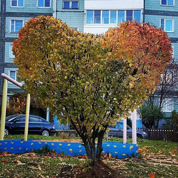 daily picdump 102 pics 2.html - 102 HD Photos | Premium Gallery 2017