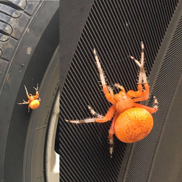 morning picdump 54 pics 5.html - 54 HD Photos | Premium Gallery 2017