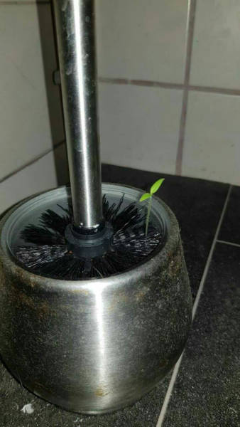 morning picdump 54 pics 5.html - 54 HD Photos | Premium Gallery 2017