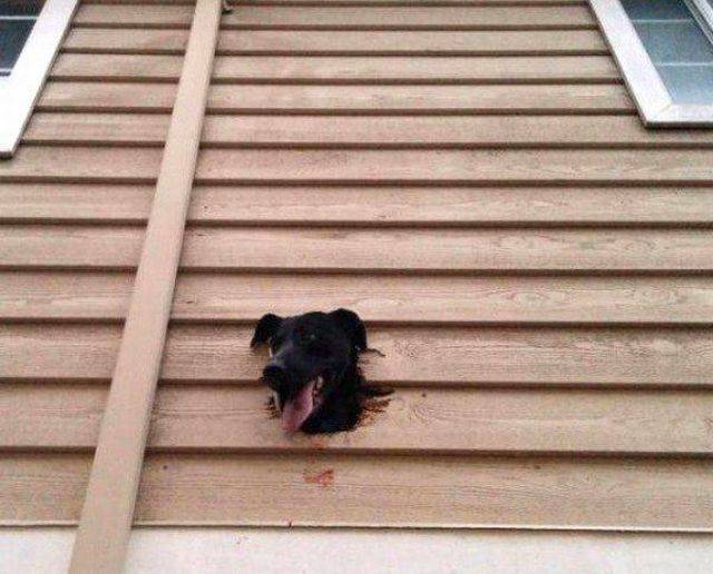 daily picdump 104 pics 2.html - 104 HD Photos | Premium Gallery 2017