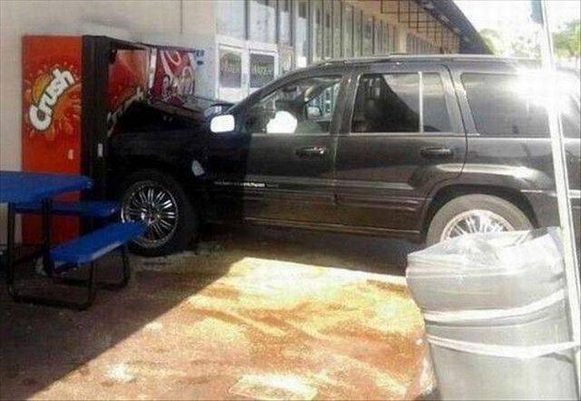 daily picdump 104 pics 2.html - 104 HD Photos | Premium Gallery 2017