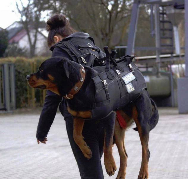 daily picdump 104 pics 2.html - 104 HD Photos | Premium Gallery 2017