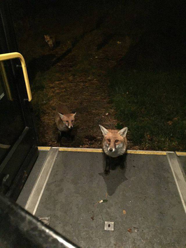 daily picdump 104 pics 2.html - 104 HD Photos | Premium Gallery 2017