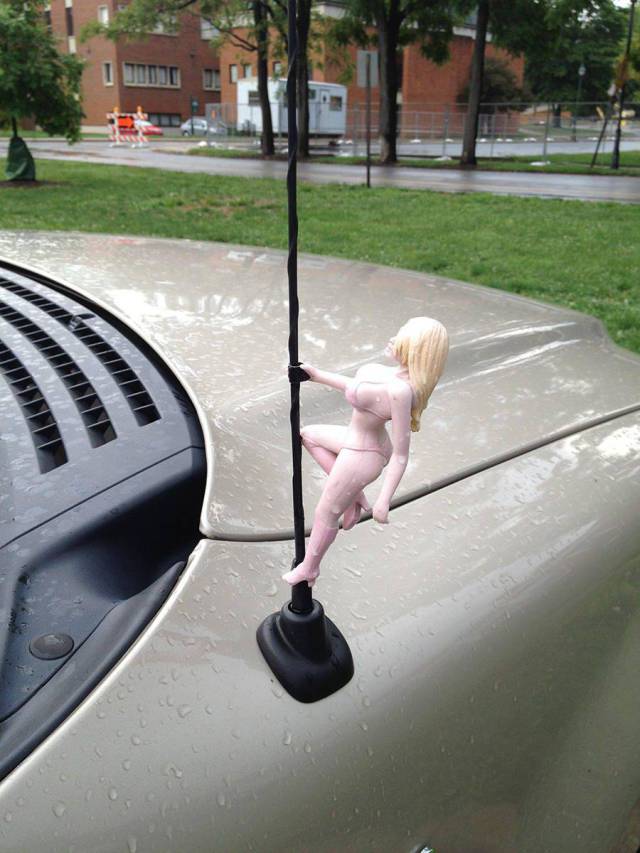 daily picdump 104 pics 2.html - 104 HD Photos | Premium Gallery 2017