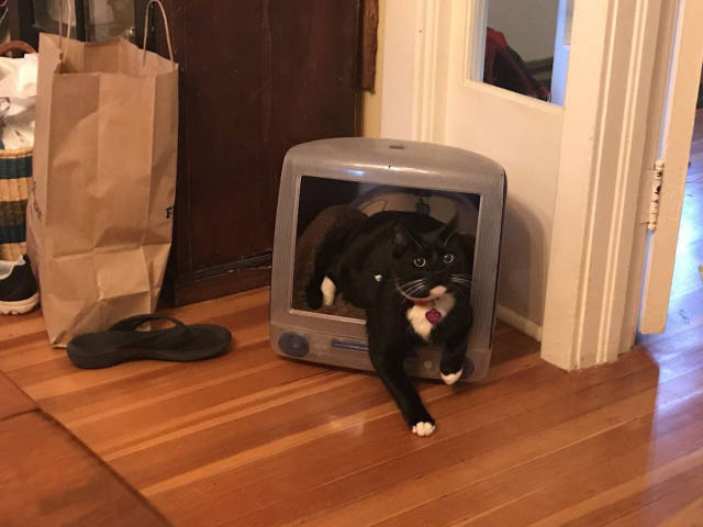 morning picdump 52 pics 24.html - 52 HD Photos | Premium Gallery 2017