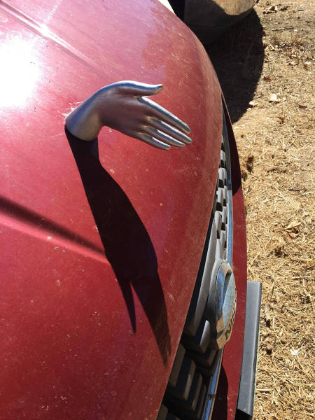 morning picdump 52 pics 24.html - 52 HD Photos | Premium Gallery 2017