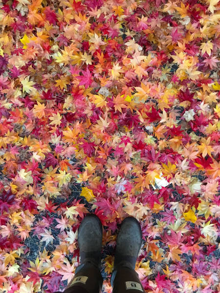 morning picdump 52 pics 24.html - 52 HD Photos | Premium Gallery 2017