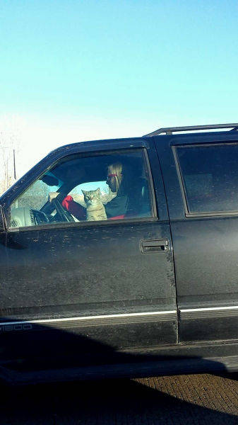 morning picdump 52 pics 24.html - 52 HD Photos | Premium Gallery 2017