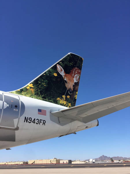 morning picdump 52 pics 24.html - 52 HD Photos | Premium Gallery 2017