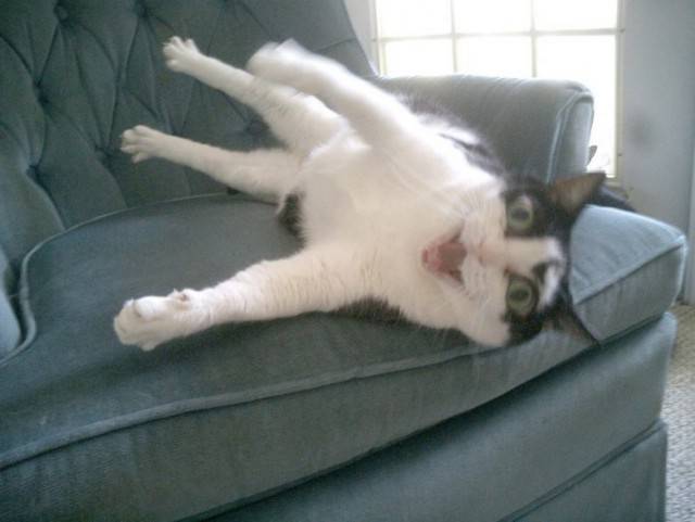 Blurry Photos Are Great As Well!