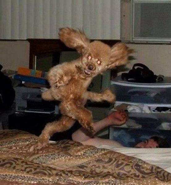 Blurry Photos Are Great As Well!