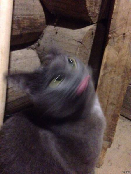 Blurry Photos Are Great As Well!