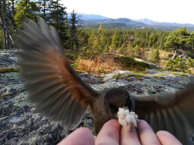 Blurry Photos Are Great As Well!