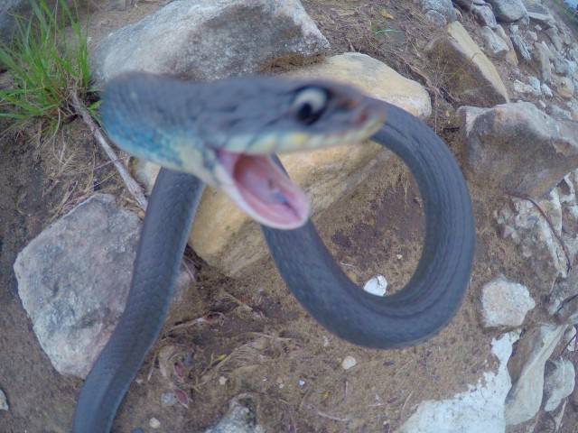 Blurry Photos Are Great As Well!