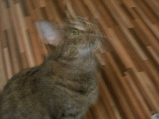 Blurry Photos Are Great As Well!