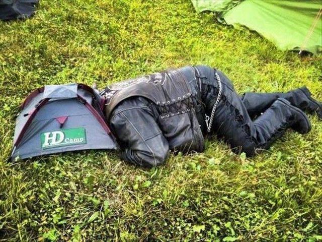 daily picdump 96 pics 2.html - 96 HD Photos | Premium Gallery 2017