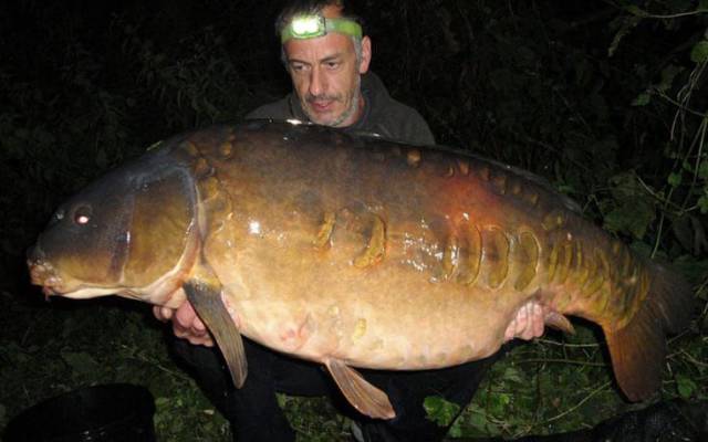 daily picdump 96 pics 2.html - 96 HD Photos | Premium Gallery 2017