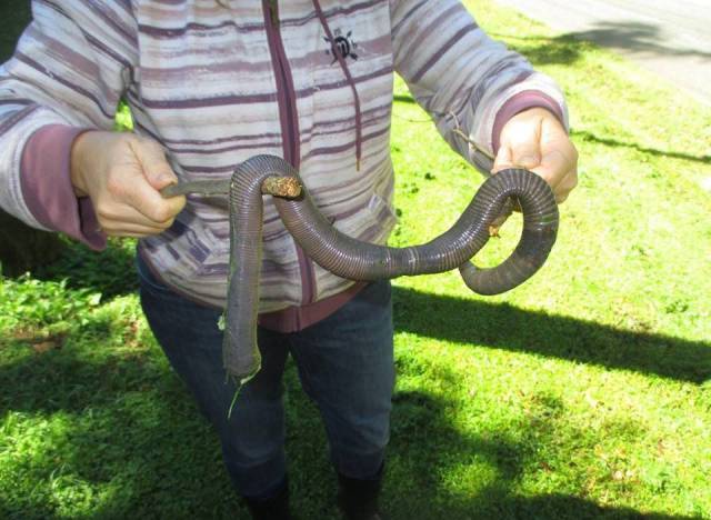 daily picdump 96 pics 2.html - 96 HD Photos | Premium Gallery 2017