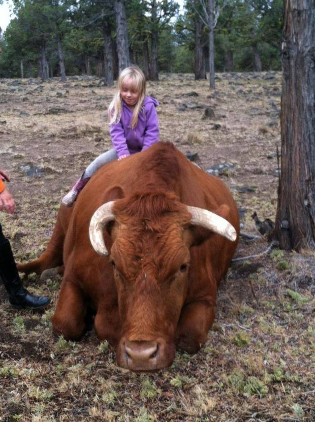 daily picdump 96 pics 2.html - 96 HD Photos | Premium Gallery 2017