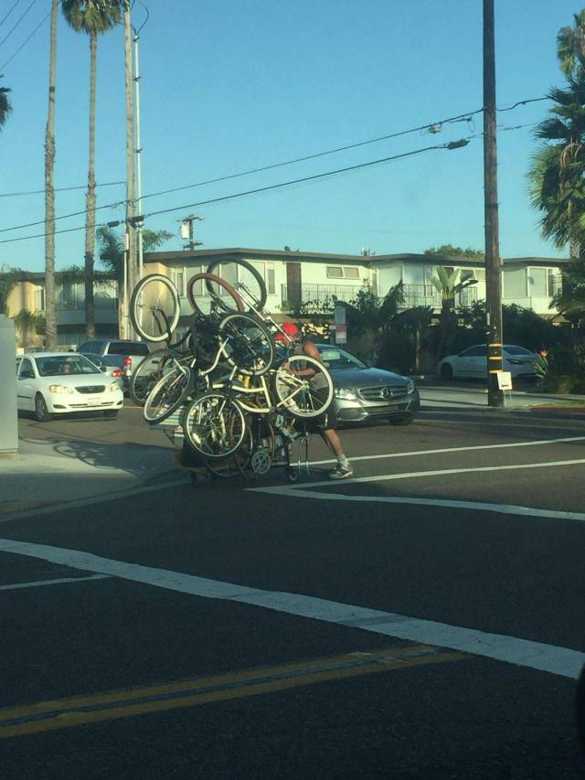 daily picdump 96 pics 2.html - 96 HD Photos | Premium Gallery 2017