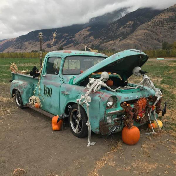 morning picdump 50 pics 5.html - 50 HD Photos | Premium Gallery 2017