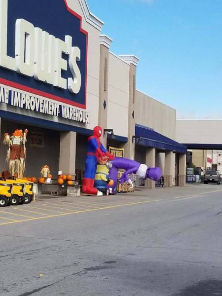 morning picdump 50 pics 18.html - 50 HD Photos | Premium Gallery 2017