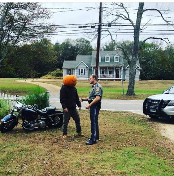 morning picdump 50 pics 18.html - 50 HD Photos | Premium Gallery 2017