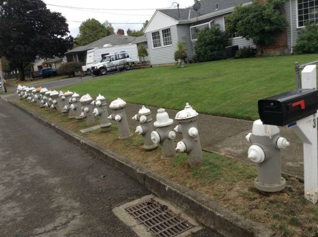 Daily Picdump [WEEKEND EDITION]