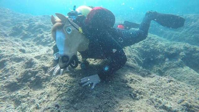 Daily Picdump [WEEKEND EDITION]