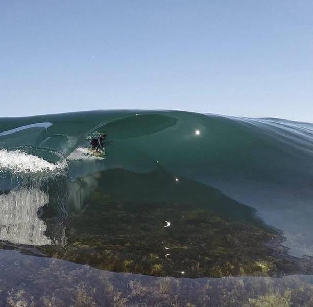 Daily Picdump [WEEKEND EDITION]