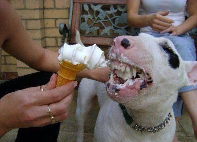 Daily Picdump [WEEKEND EDITION]