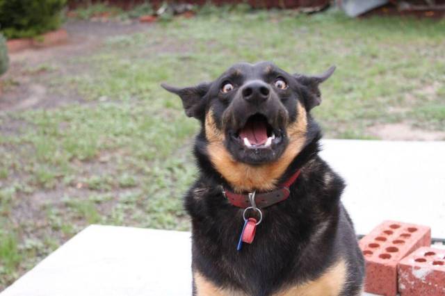 Daily Picdump [WEEKEND EDITION]