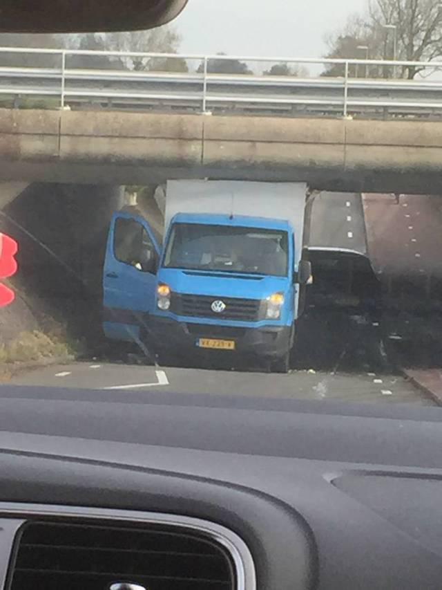 Daily Picdump [WEEKEND EDITION]