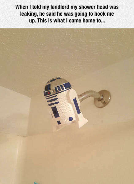 funny picdump 53 pics 3.html - 53 HD Photos | Premium Gallery 2017
