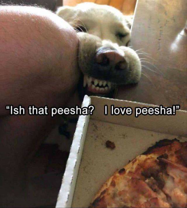 funny picdump 53 pics 3.html - 53 HD Photos | Premium Gallery 2017