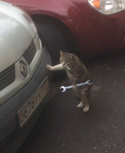 Funny Picdump