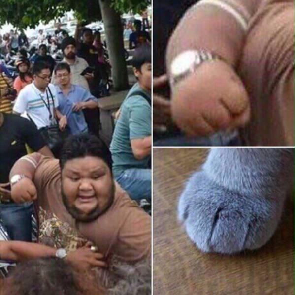 Funny Picdump