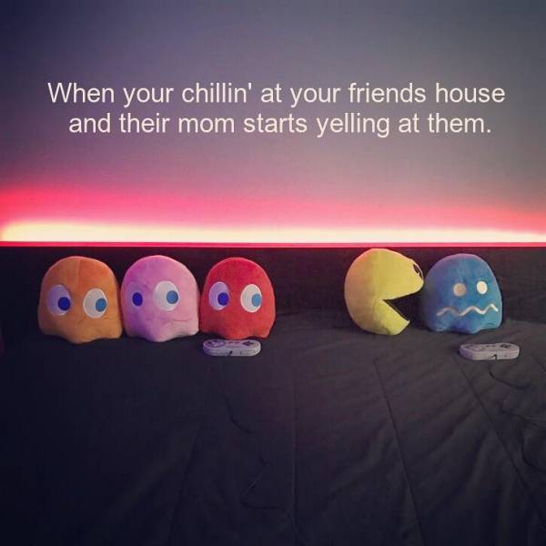 funny picdump 53 pics 7.html - 53 HD Photos | Premium Gallery 2017