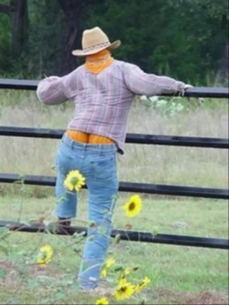 Hmm, These Are Really Clever!